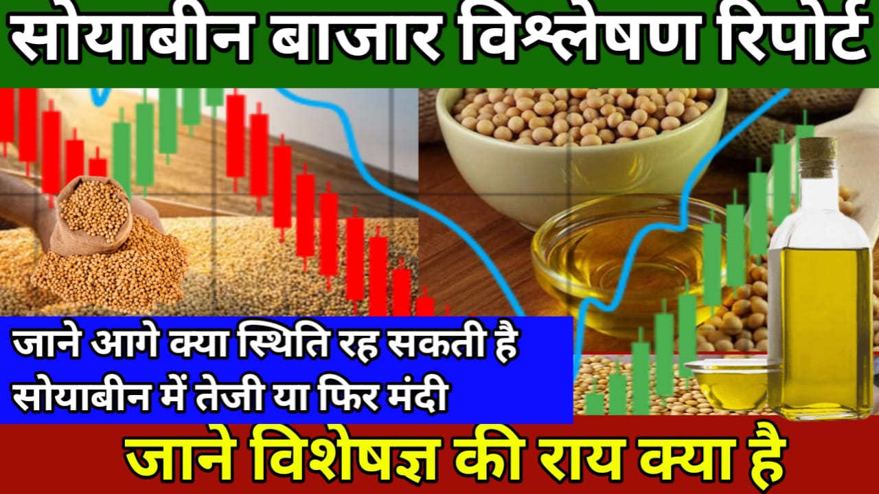 Soyabean Commodities Report