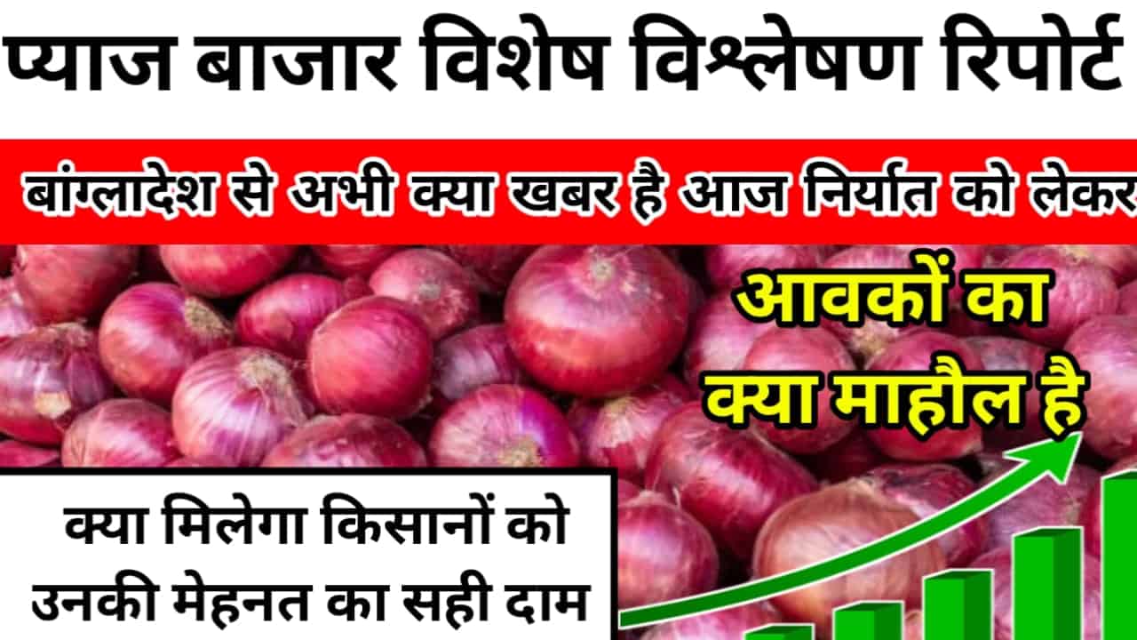 Onion Report 2025