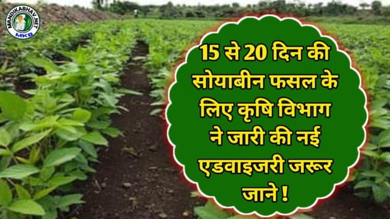 Farming Advice
