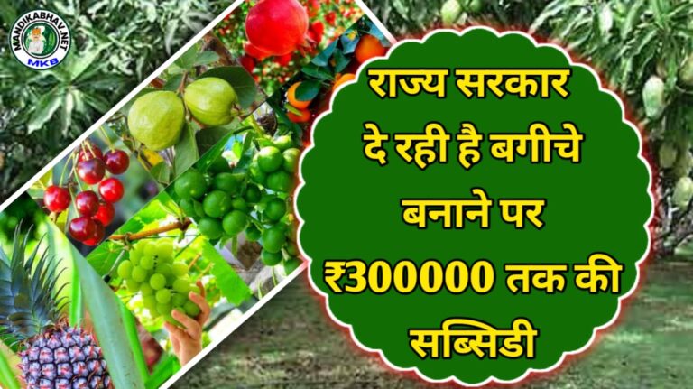 Subsidy Scheme