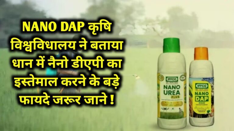 NANO DAP