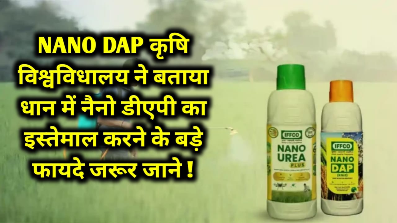 NANO DAP