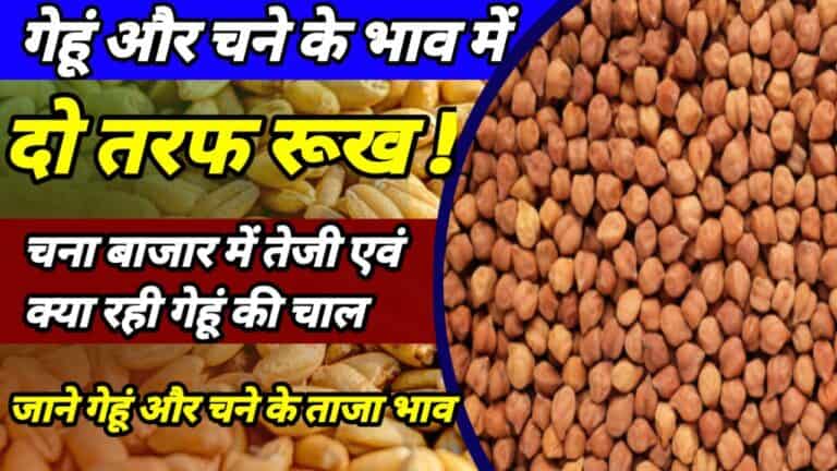 Commodities price 