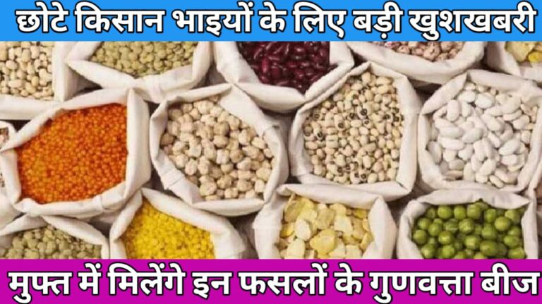 Seed Distribution Scheme