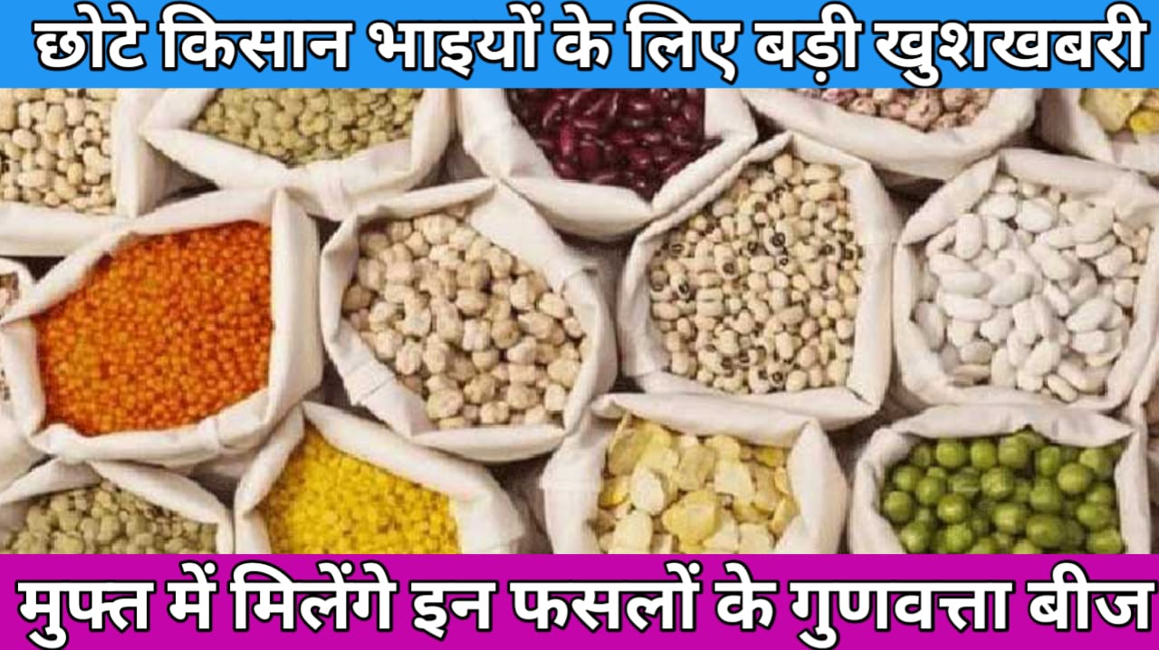Seed Distribution Scheme