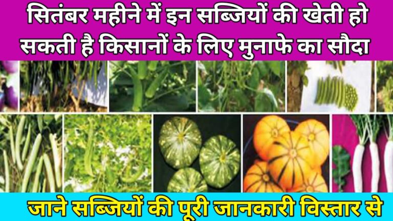 September Crop