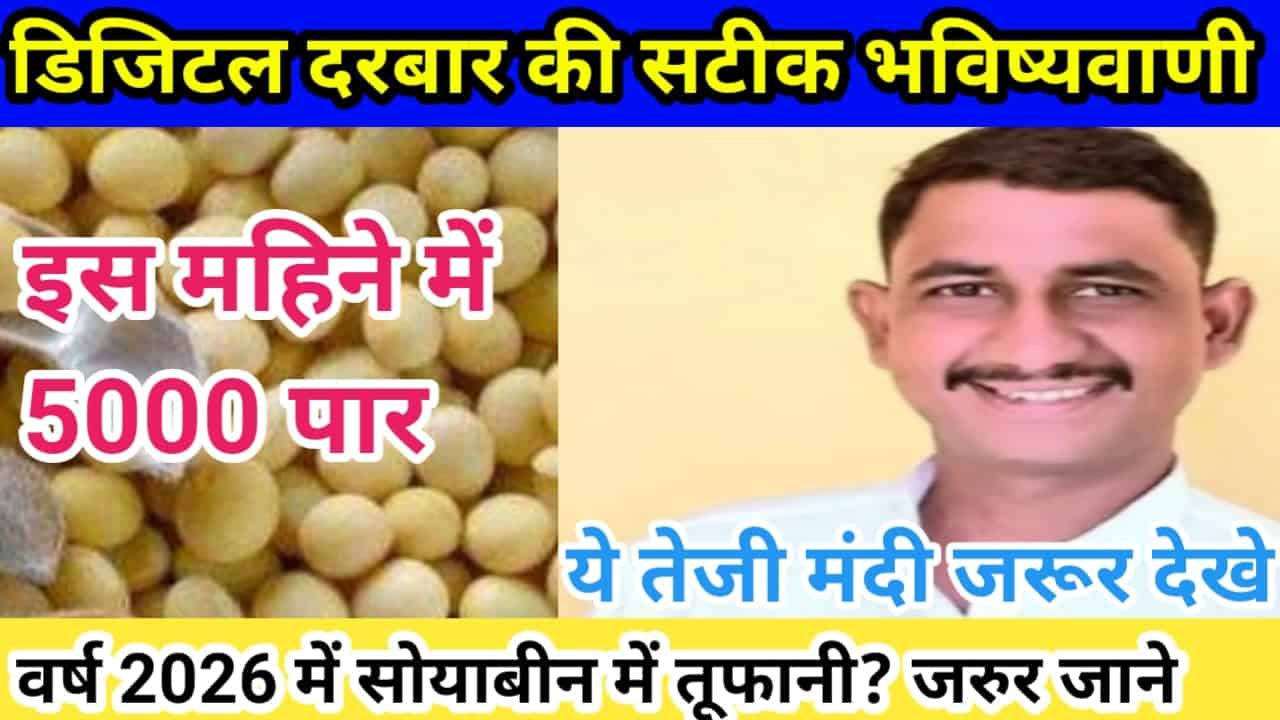 Soyabean Teji Mandi