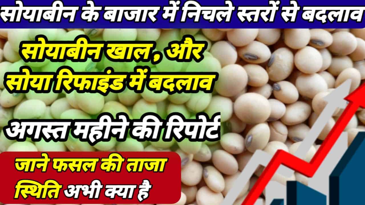 Soyabean Commodities price